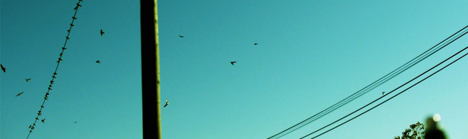 RoadS- 940 x 280W